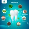 Ayurvedic toothpaste2 Tooth Paste 100 GM