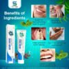 Ayurvedic toothpaste3 Tooth Paste 100 GM
