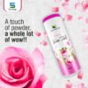 Skin Talc Rose Skin Talc Powder Rose 100 GM