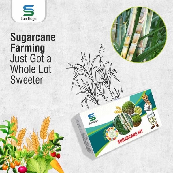 Sugarcane Kit Sugarcane Kit 2.5KG