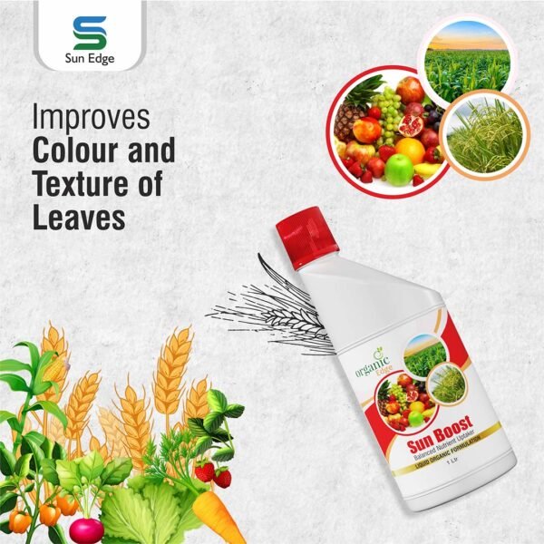 Sun Boost 500ml