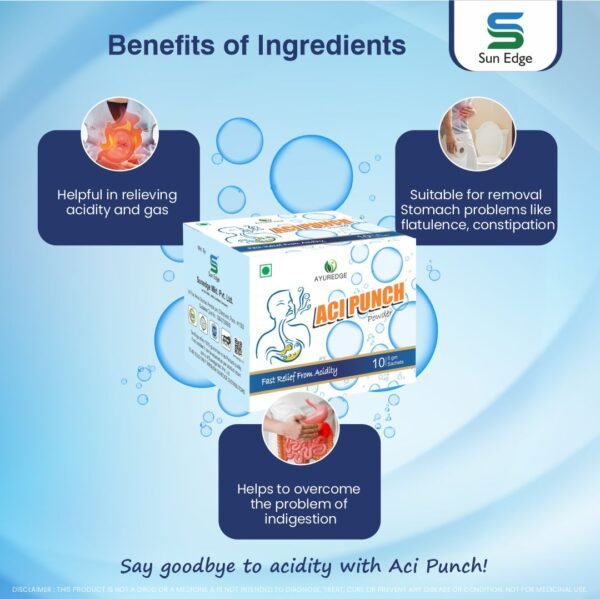 aci punch3 Acipunch 10Nos