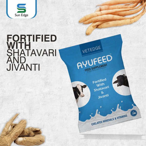 Ayufeed 1KG