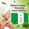 neem soap4 Neem Bath Soap 100 GM