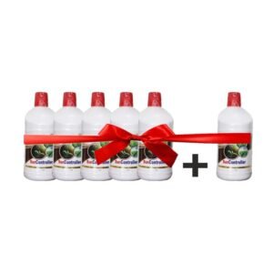 Sun Controller Offer 6+1