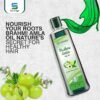 Brahmiamla oil. Brahmi Amla Hair Oil 200ml