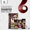 WhatsApp Image 2024-12-30 at 3.42.14 PM Hair Color Dark Brown 120 ML